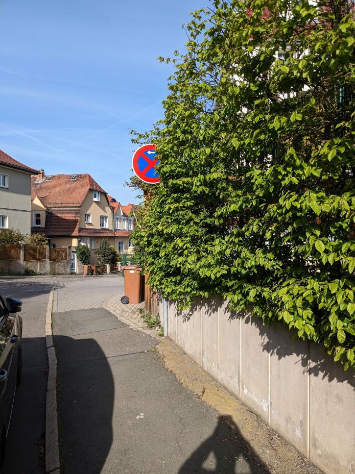 Straßenverwaltung – Prüfung der Freihaltung von Verkehrsschildern und dem Lichtraumprofil