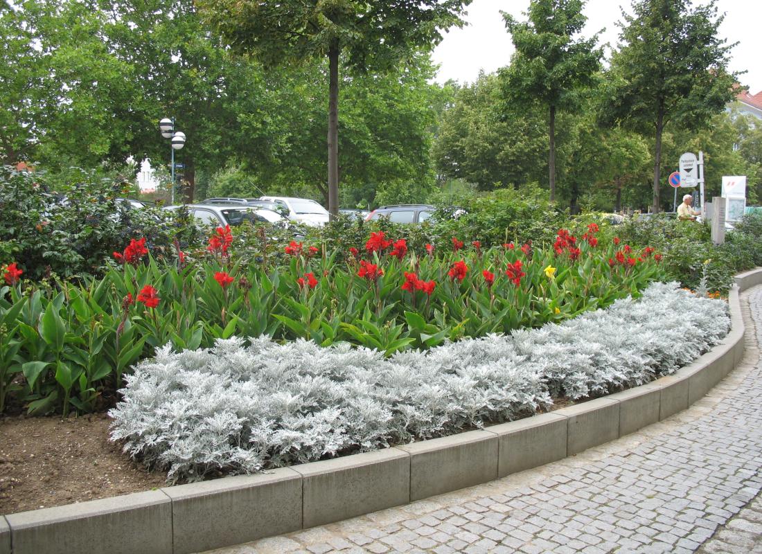 Green space maintained by the KSJ in the city center of Jena